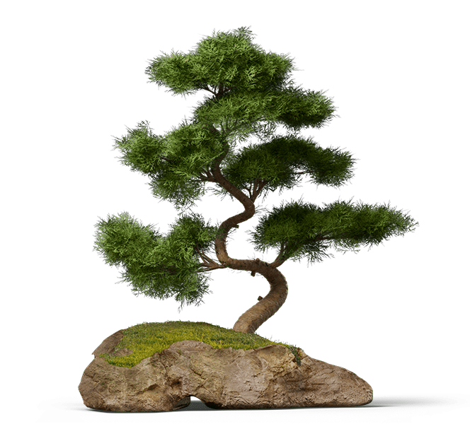 Bonsai Lleida Cowork